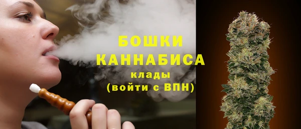 гидра Наволоки