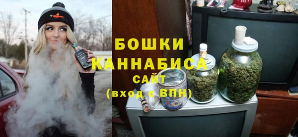 индика Нея