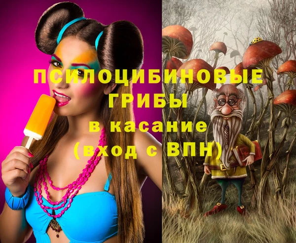 ГАЛЛЮЦИНОГЕННЫЕ ГРИБЫ Нефтегорск