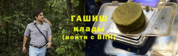 индика Нея