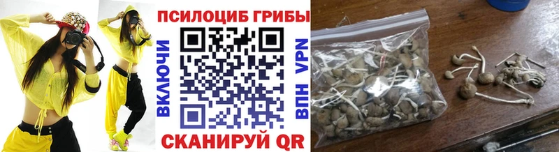 Купить  Шали  Псилоцибиновые грибы Psilocybe 